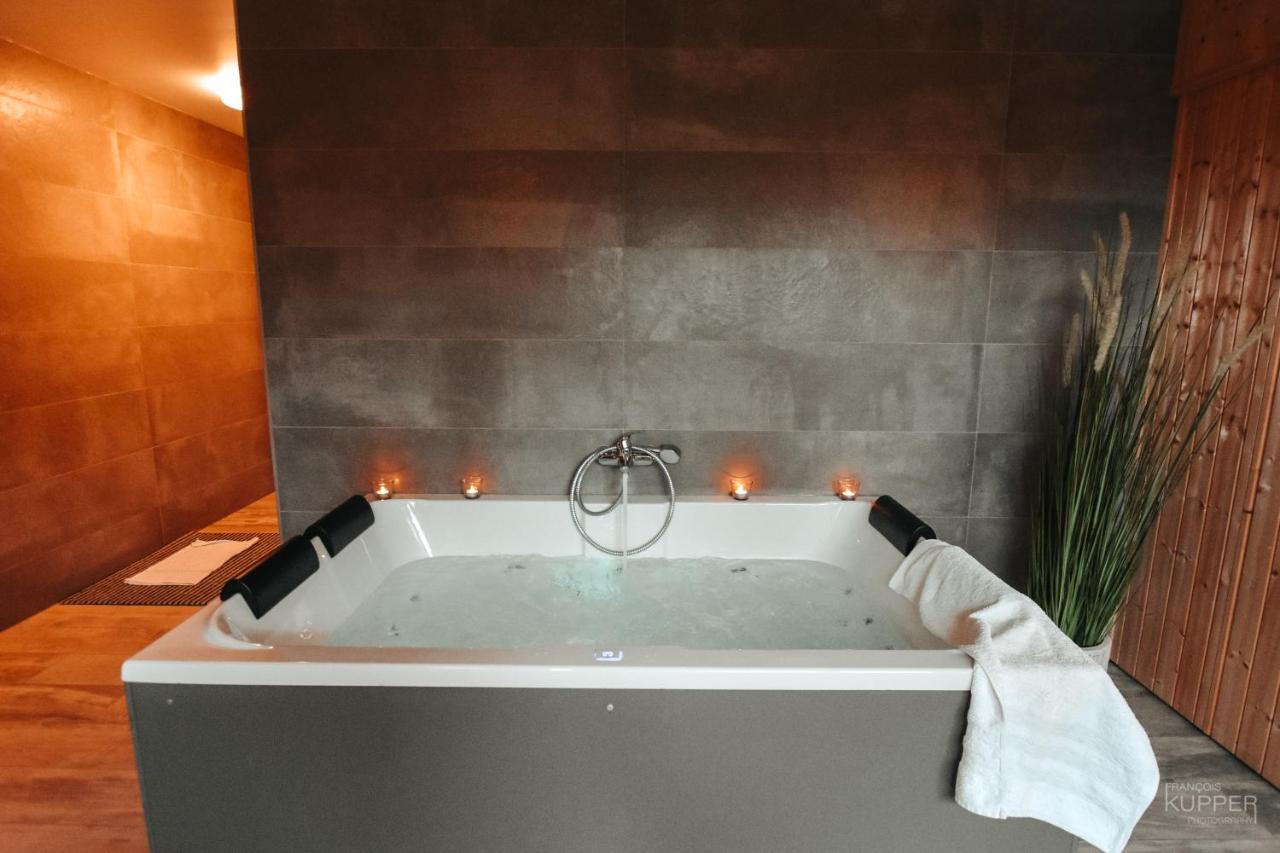 Le Bonheur De La Cascade 24 Pers - Malmedy, Wellness, Jardin, Confort エクステリア 写真