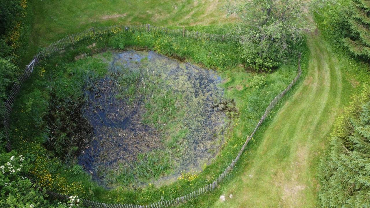 Le Bonheur De La Cascade 24 Pers - Malmedy, Wellness, Jardin, Confort エクステリア 写真