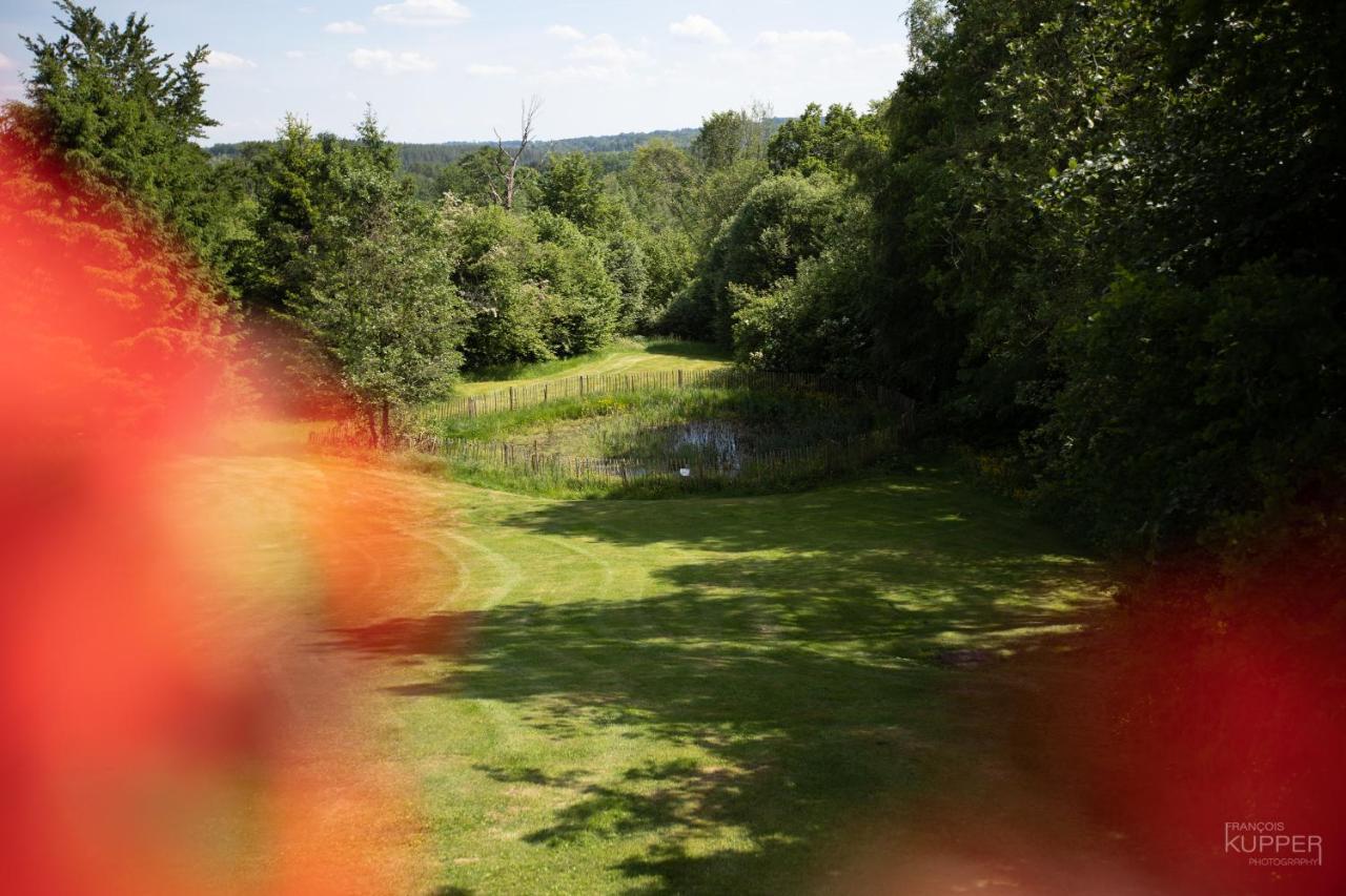 Le Bonheur De La Cascade 24 Pers - Malmedy, Wellness, Jardin, Confort エクステリア 写真